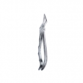Extarcting Forceps 